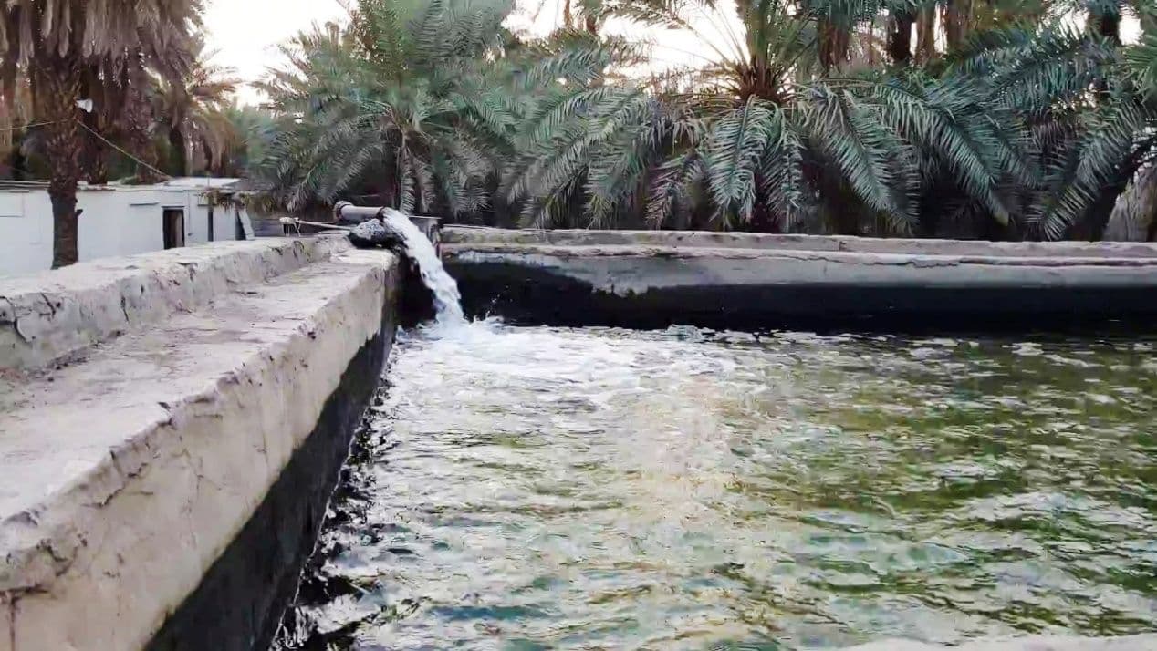 نخلات سلمان، بئر الفقير