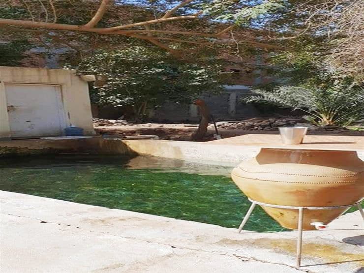 بئر عذق وبستان المُستَظَلّ