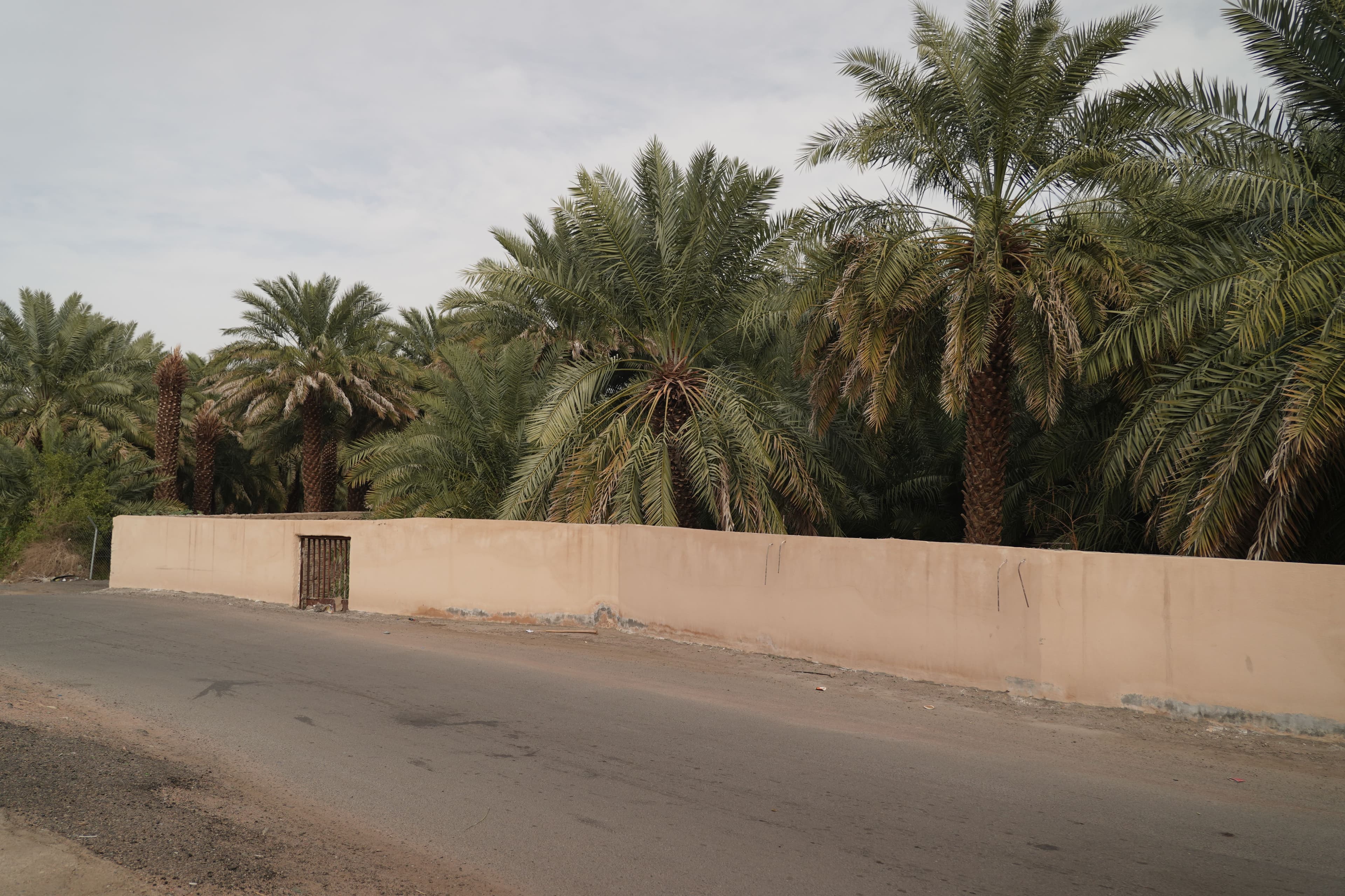 بئر رُومَةَ (بئر عثمان رضي الله عنه)